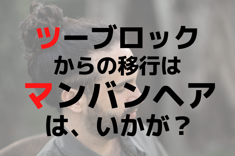 見出しを追加 (39)