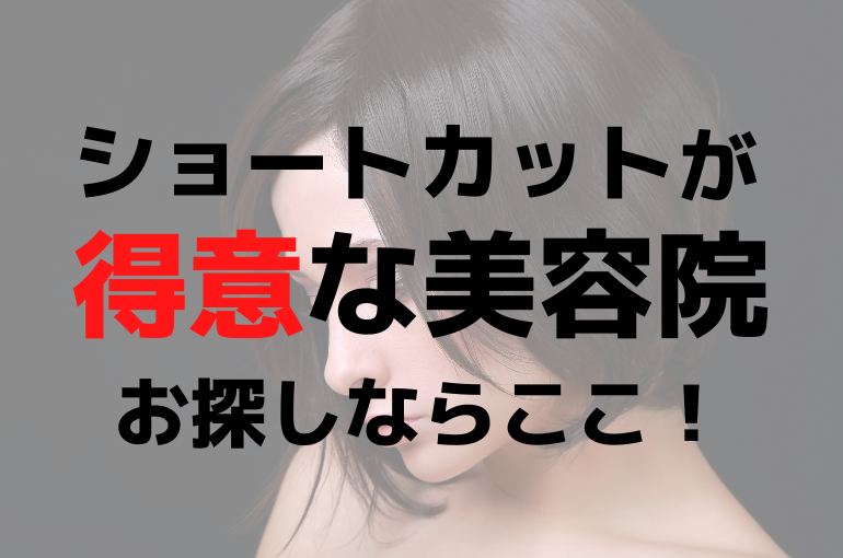 見出しを追加 (51)