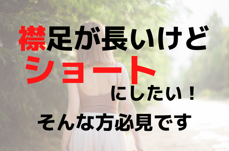 見出しを追加 (65)