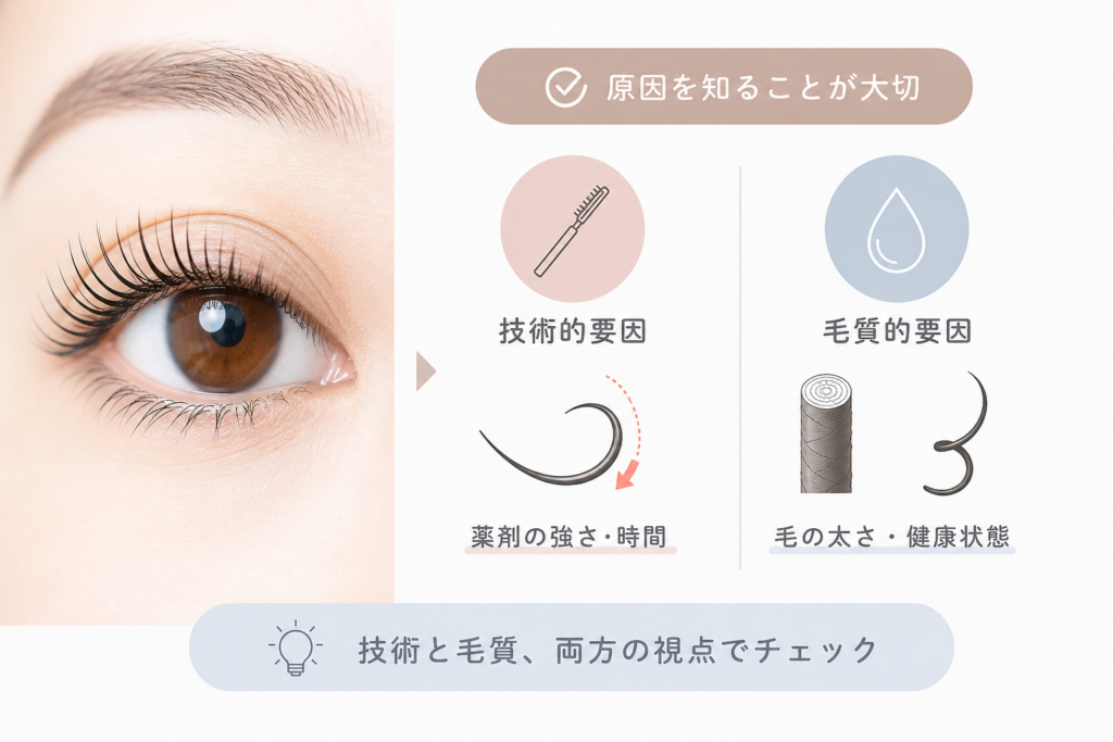 まつ毛パーマがかかりすぎる原因|技術と毛質の視点から