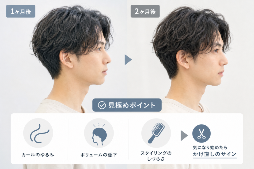 パーマ1ヶ月後・2ヶ月後の変化と判断に迷ったときの見極め法