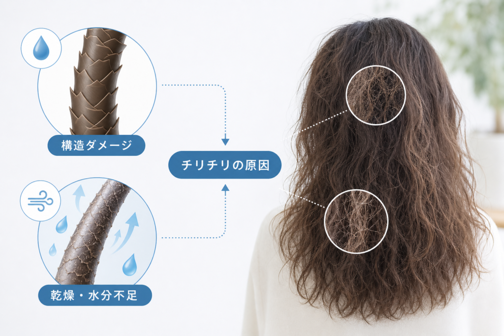パーマが乾くとチリチリに見える原因を構造ダメージと乾燥で理解する