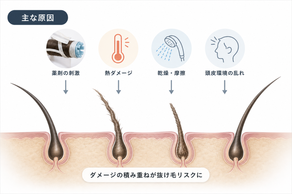 パーマが禿げるのかを左右する仕組みと原因