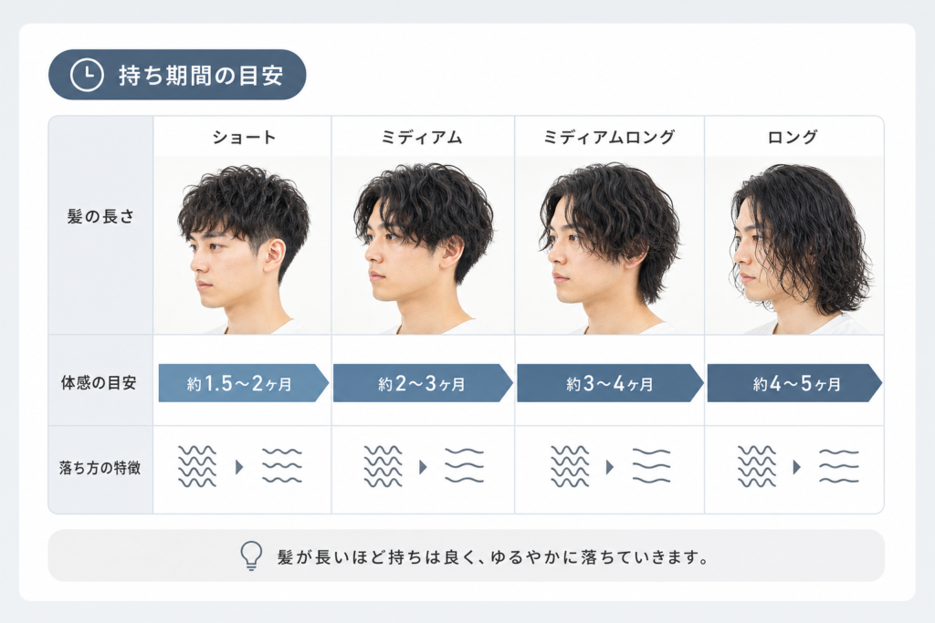 パーマの持ち期間と髪の長さ別で把握する体感の目安